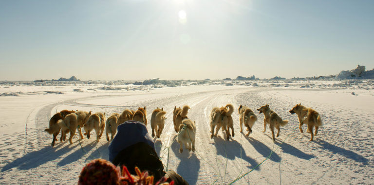 Dog sledging in Greenland. Photo by Ramon Stoppelenburg.